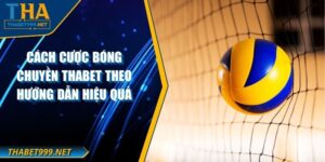 Cách Cược Bóng Chuyền THABET Theo Hướng Dẫn Hiệu Quả
