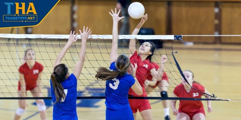 Cách Cược Bóng Chuyền THABET Theo Hướng Dẫn Hiệu Quả 2 Các loại kèo trong cá cược bóng chuyền thường gặp