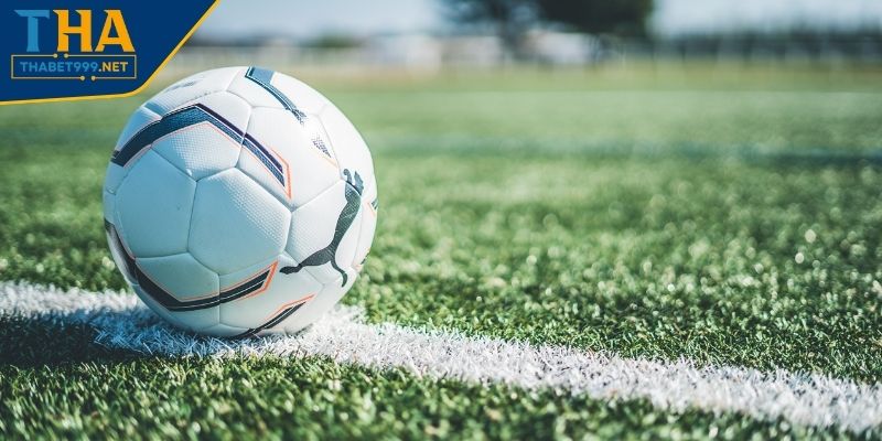 Lưu ý cần nắm bắt trong cách chơi tài xỉu bóng đá