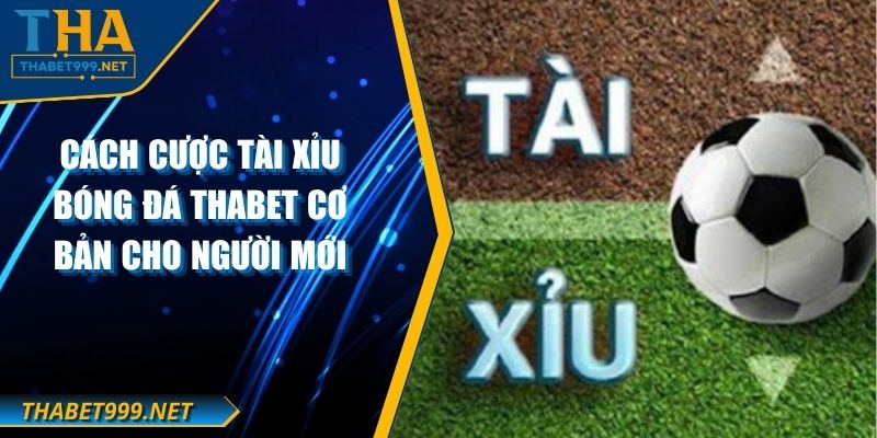 Cách Cược Tài Xỉu Bóng Đá THABET Cơ Bản Cho Người Mới