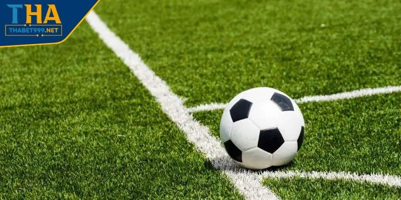 Quan sát thống kê trực tiếp