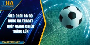Mẹo Chơi Cá Độ Bóng Đá THABET Giúp Giành Chiến Thắng Lớn